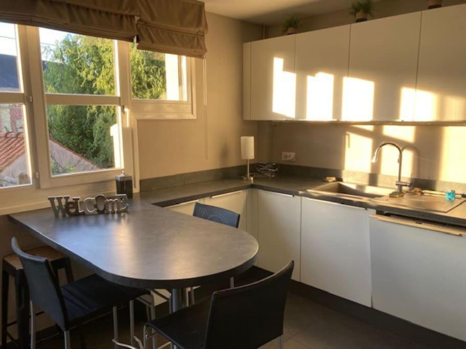Agreable Et Spacieuse Maison Centre Ville Saint-Omer Saint-Omer (Pas-de-Calais) Exterior foto